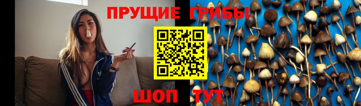 Дивногорск  Псилоцибиновые грибы GOLDEN TEACHER  Вход с VPN 